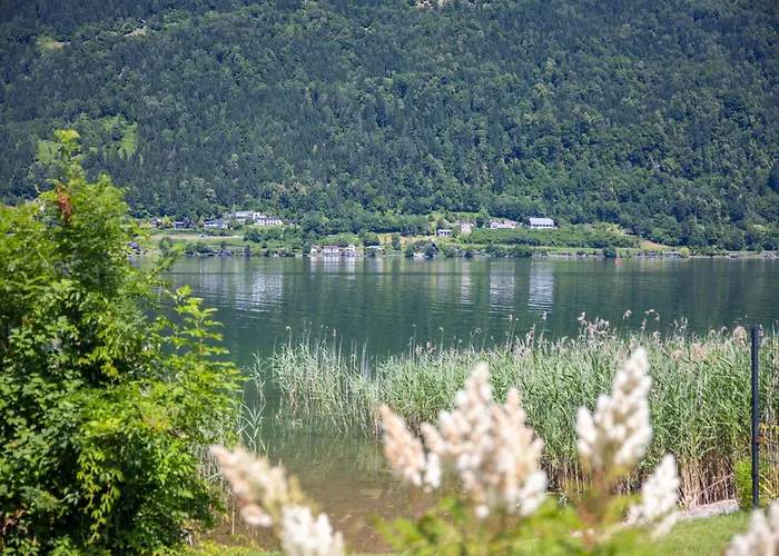 Dom wakacyjny Seecamping Ploerz - Harald Lauritsch Gmbh Landskron