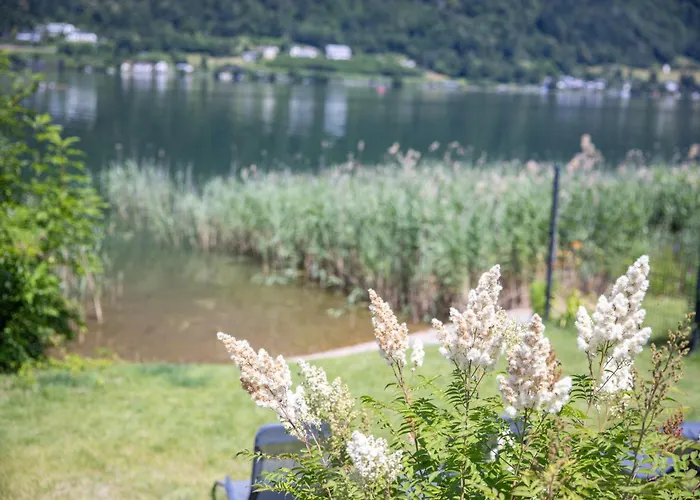 Dom wakacyjny Seecamping Ploerz - Harald Lauritsch Gmbh Landskron